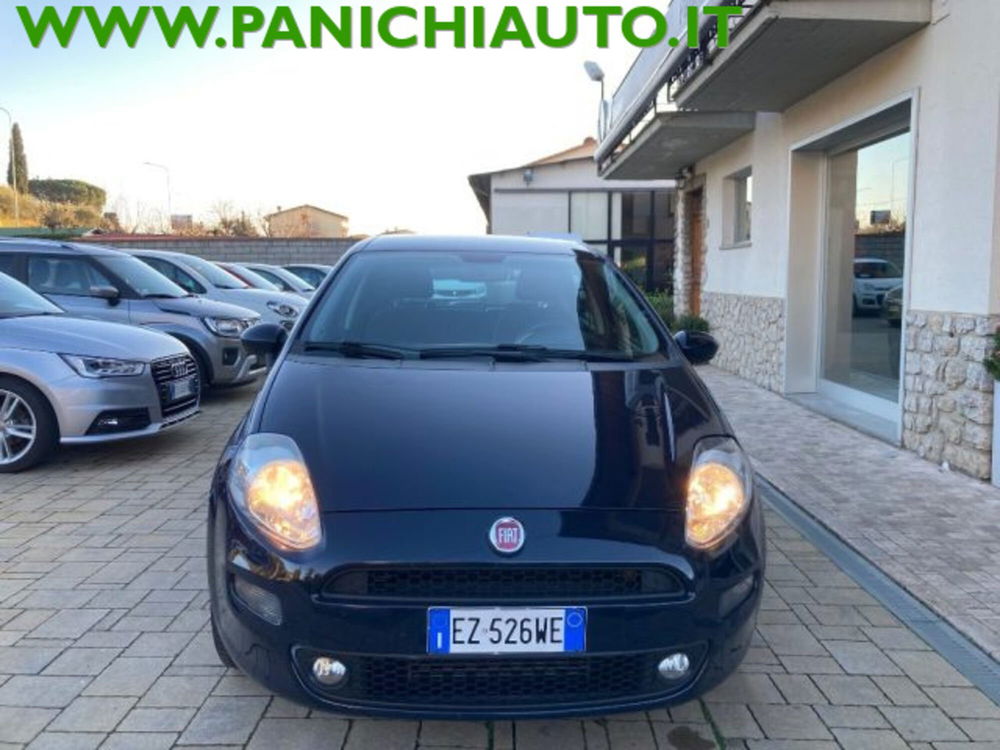 Fiat Punto usata a Arezzo (4)