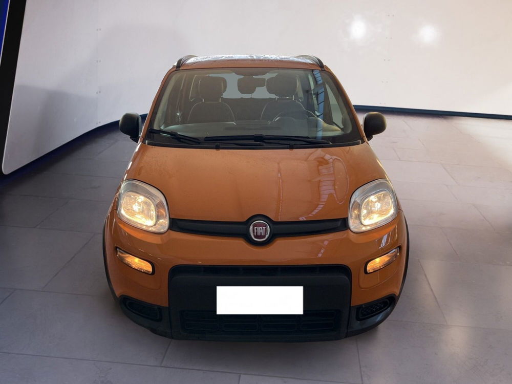 Fiat Panda usata a Torino