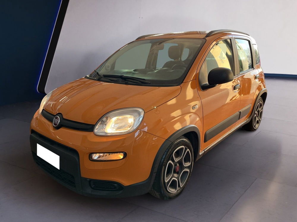 Fiat Panda usata a Torino (2)