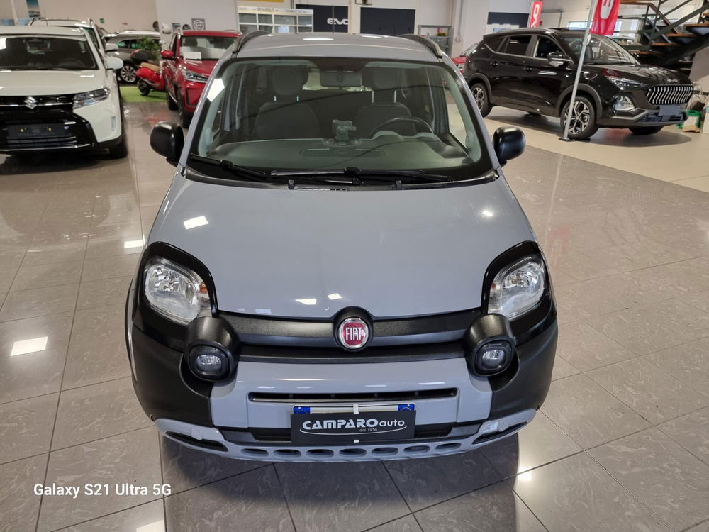 Fiat Panda usata a Alessandria