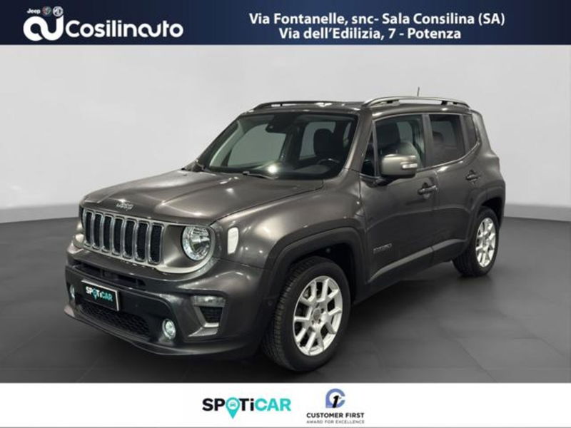 Jeep Renegade 1.0 T3 Business  del 2018 usata a Sala Consilina