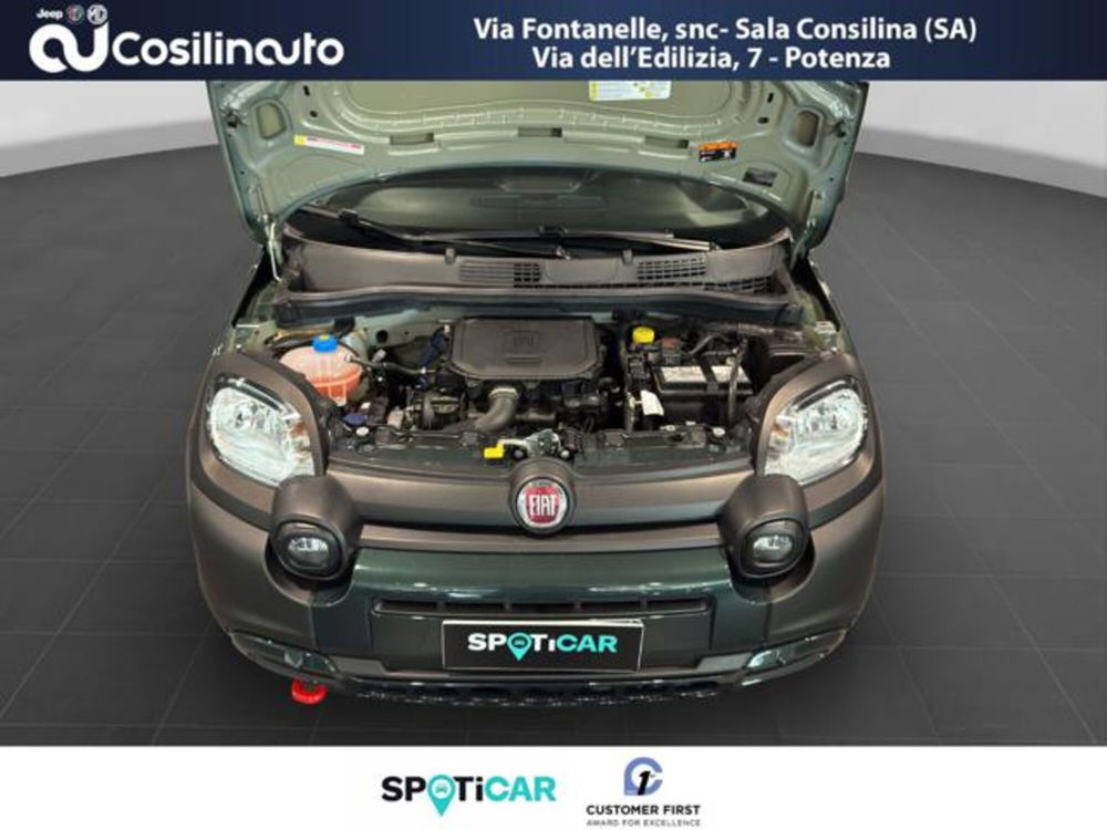 Fiat Panda Cross usata a Salerno (17)