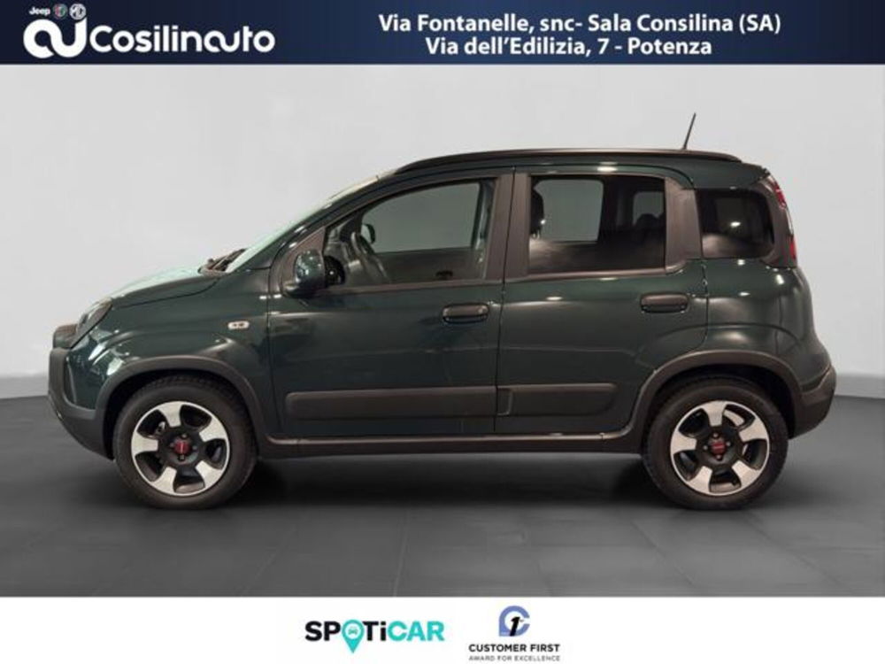 Fiat Panda Cross usata a Salerno (2)