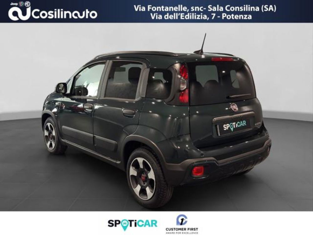 Fiat Panda Cross usata a Salerno (3)