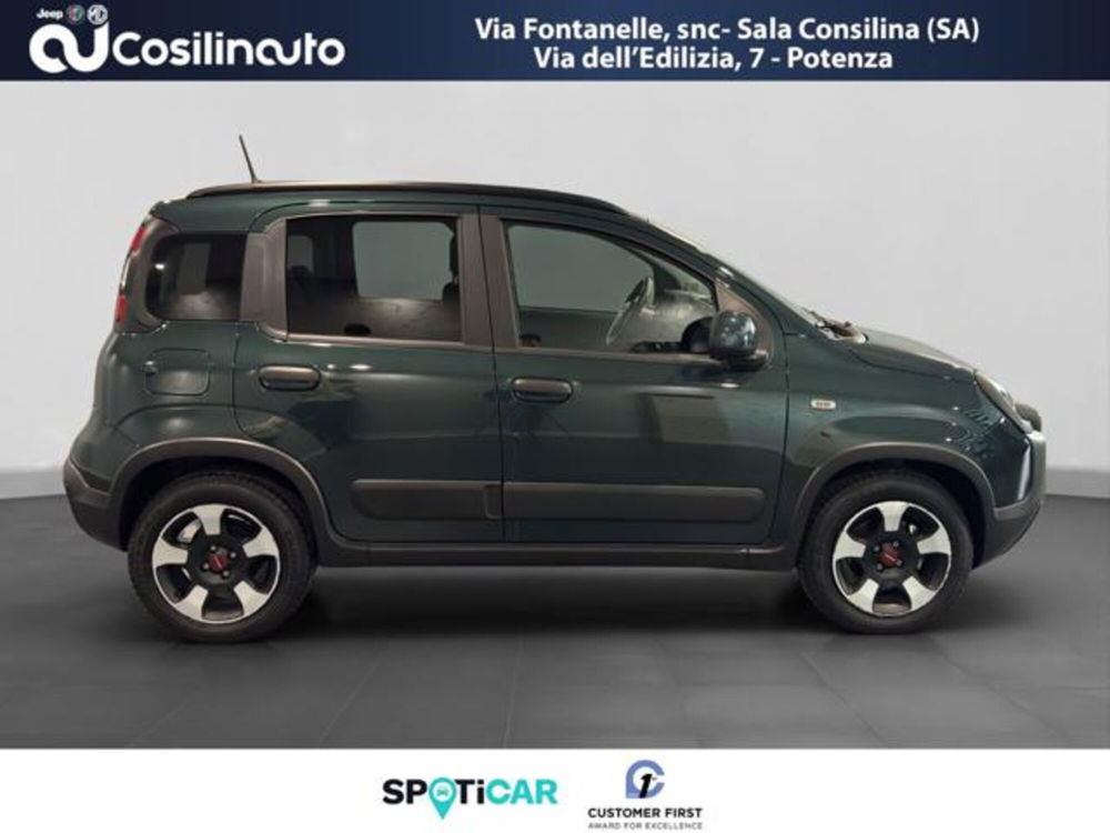 Fiat Panda Cross usata a Salerno (6)