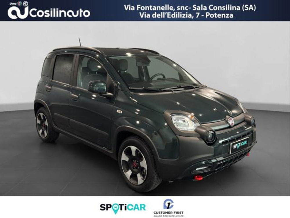 Fiat Panda Cross usata a Salerno (7)