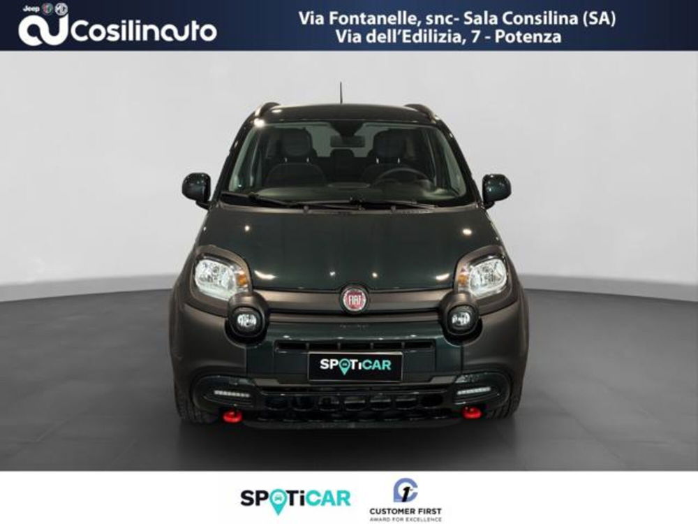 Fiat Panda Cross usata a Salerno (8)