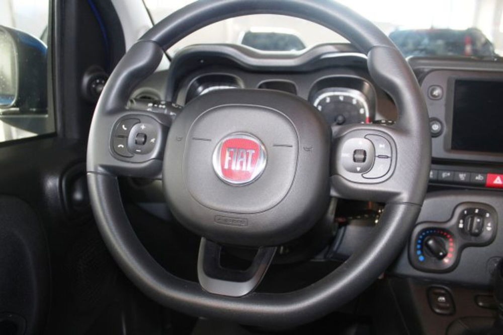 Fiat Panda Cross usata a Terni (12)