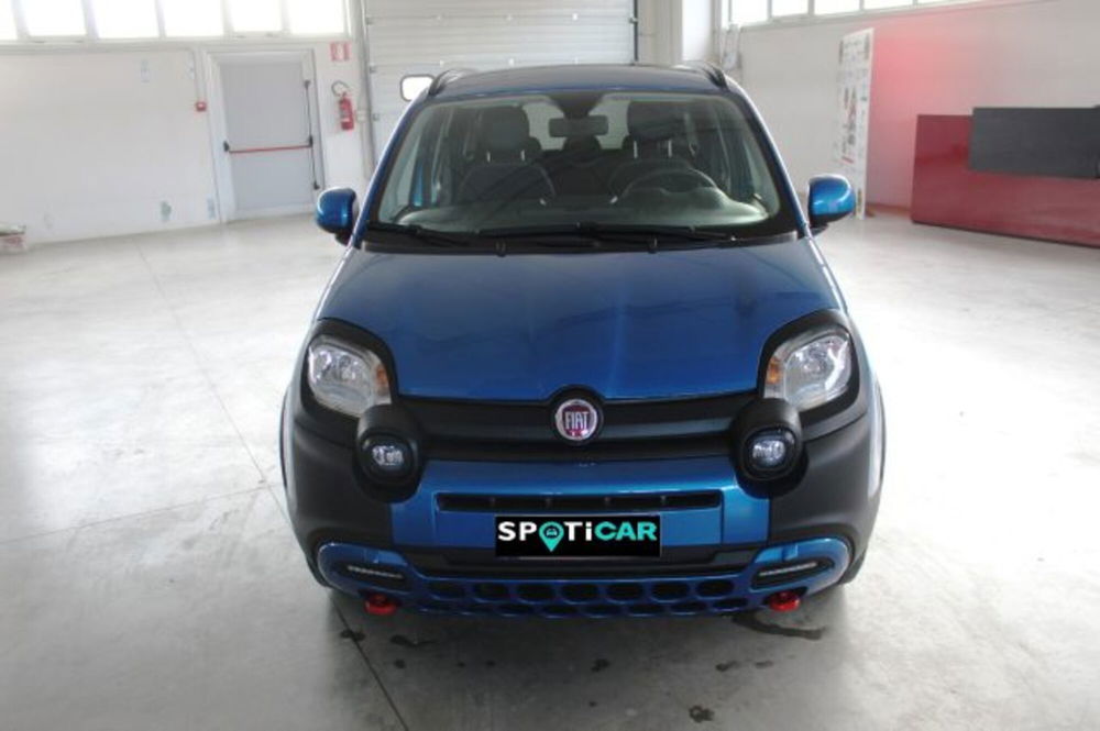 Fiat Panda Cross usata a Terni (2)