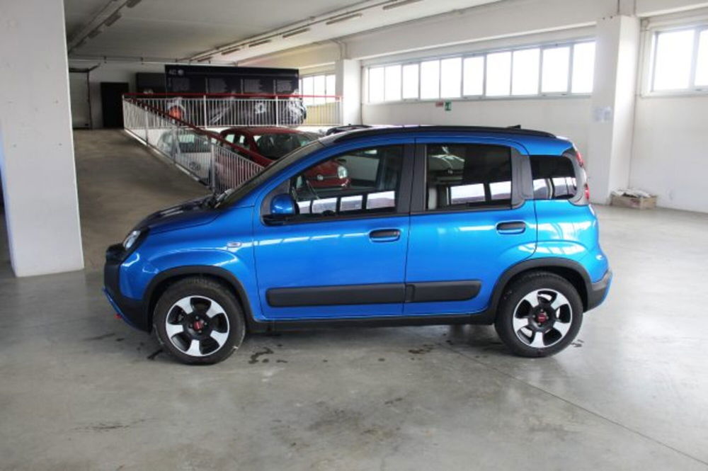 Fiat Panda Cross usata a Terni (3)