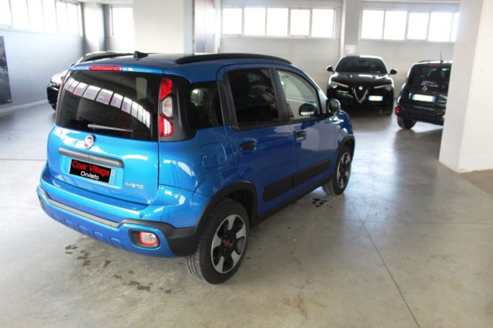 Fiat Panda Cross usata a Terni (4)