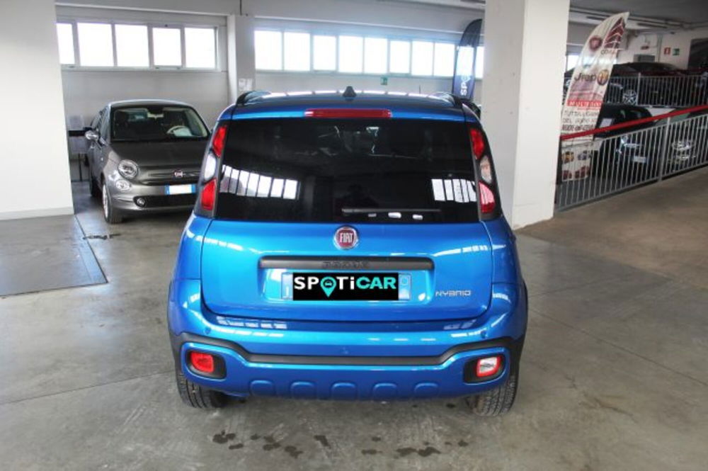 Fiat Panda Cross usata a Terni (5)