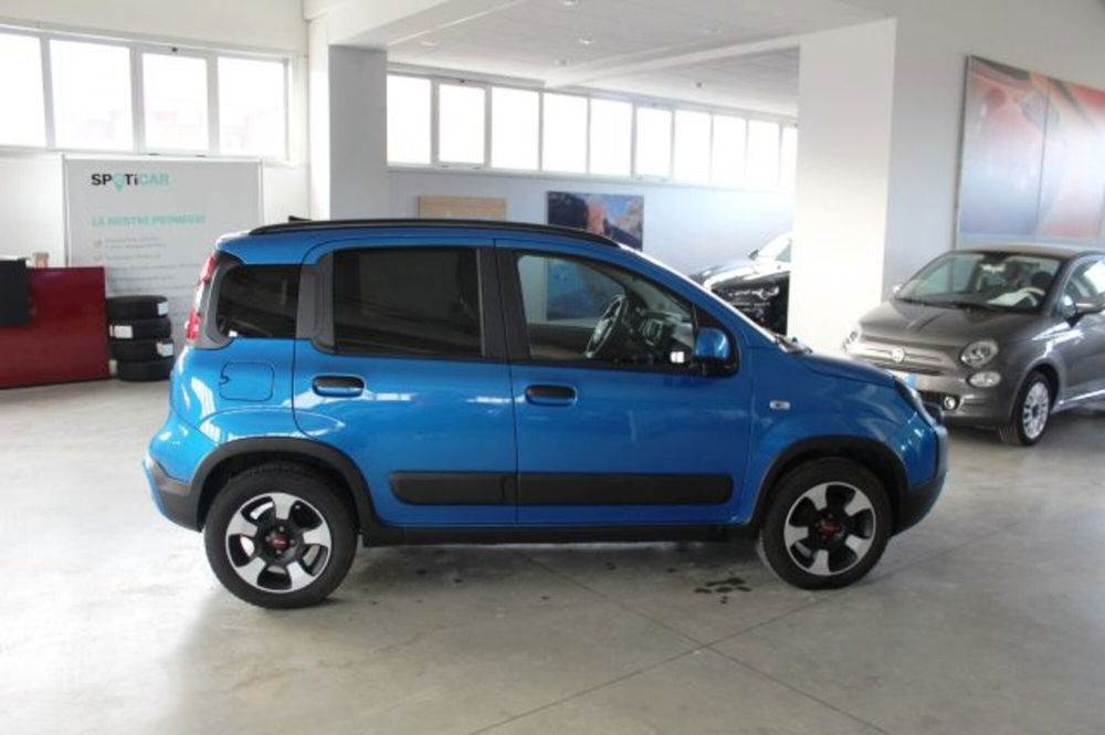 Fiat Panda Cross usata a Terni (6)