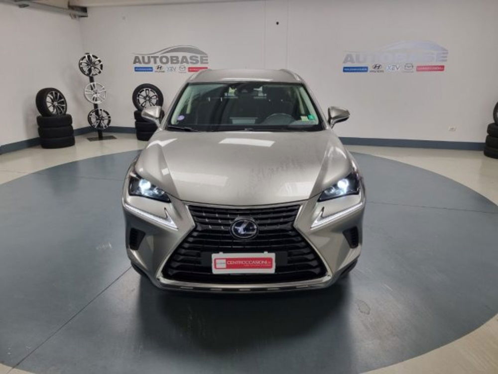 Lexus NX usata a Brescia (2)