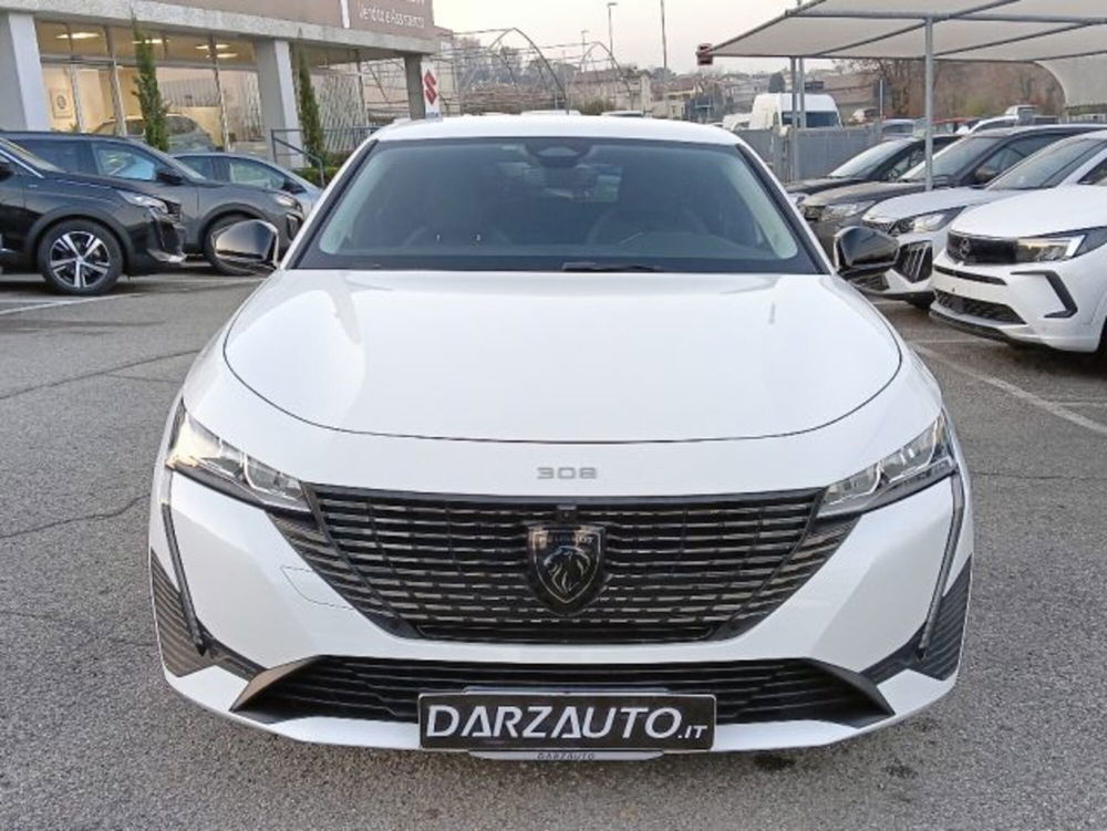 Peugeot 308 SW usata a Brescia (2)