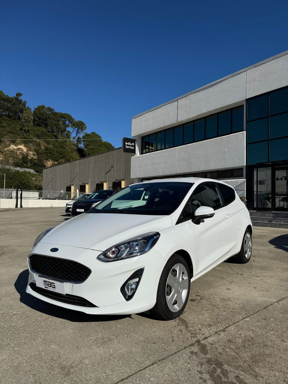 Ford Fiesta usata a Cosenza