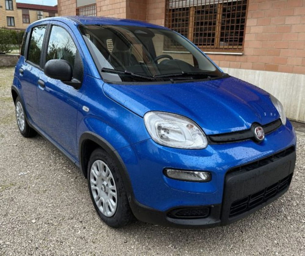 Fiat Panda nuova a Roma (3)