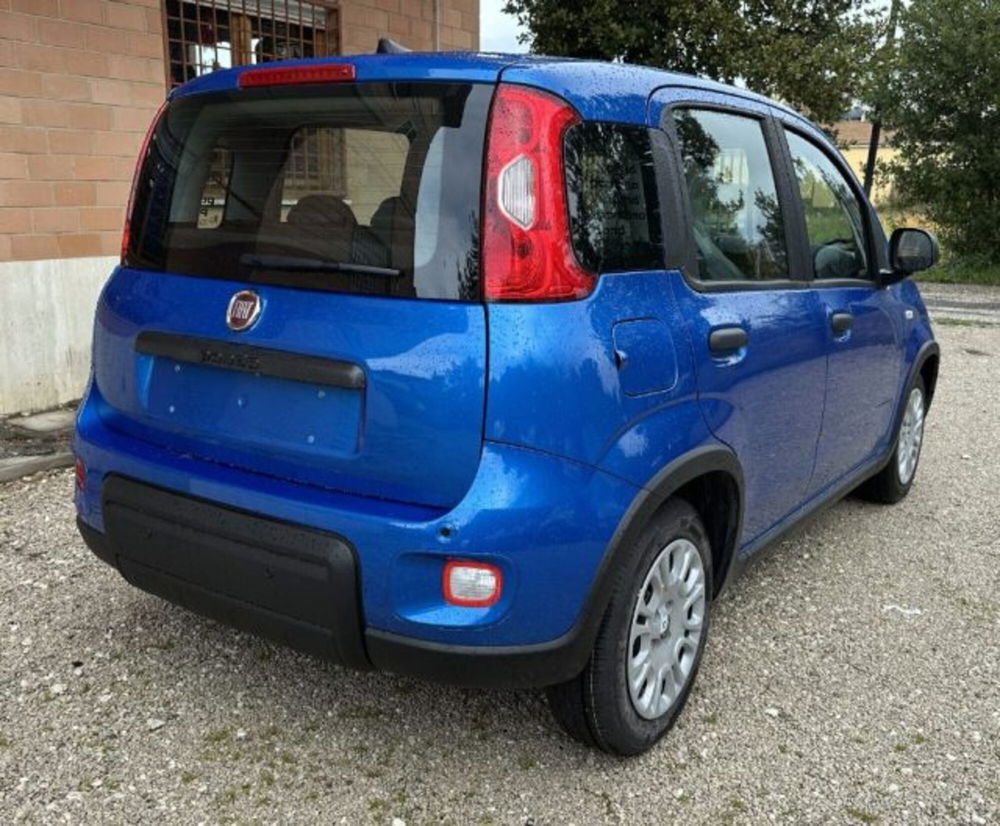 Fiat Panda nuova a Roma (7)