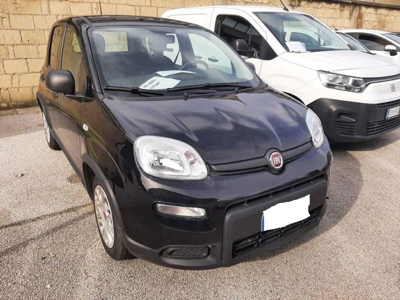 Fiat Panda 1.0 FireFly S&amp;S Hybrid City Cross  del 2023 usata a Cortona