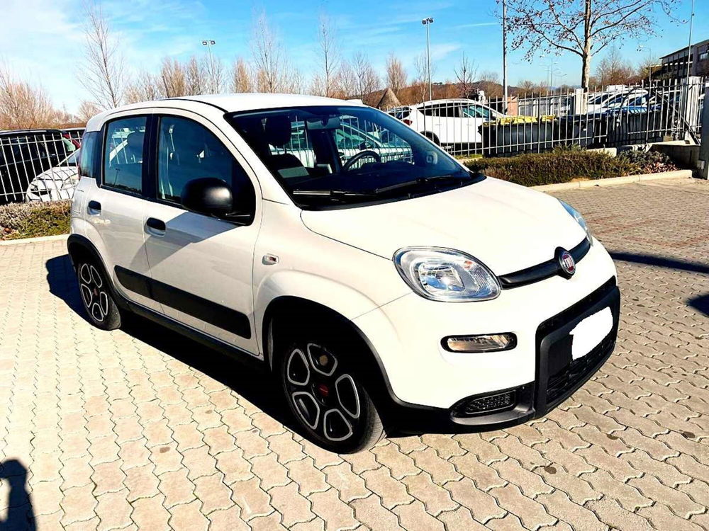 Fiat Panda usata a Arezzo