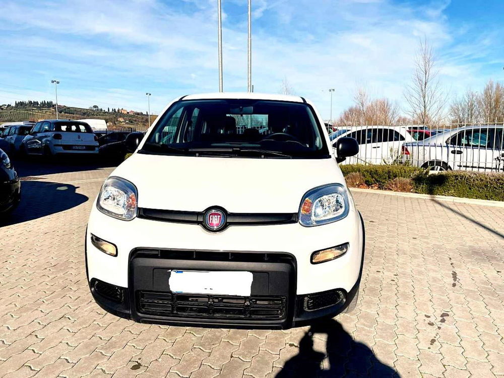 Fiat Panda usata a Arezzo (4)