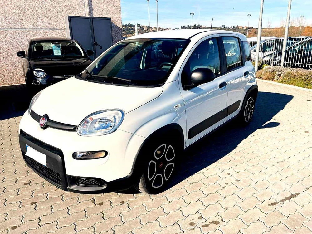 Fiat Panda usata a Arezzo (5)