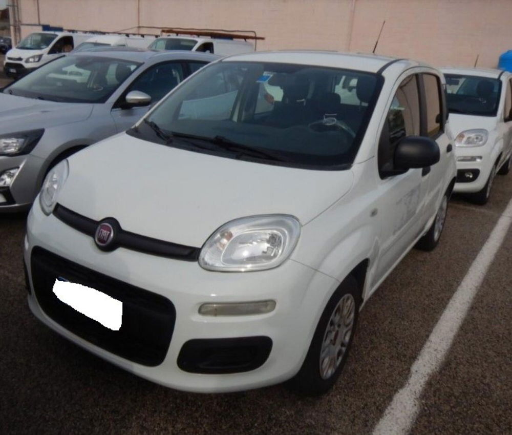 Fiat Panda usata a Arezzo