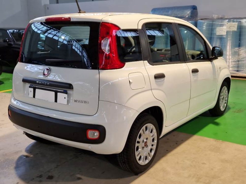 Fiat Panda usata a Arezzo (3)