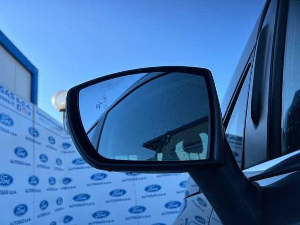 Ford EcoSport usata a Firenze (11)