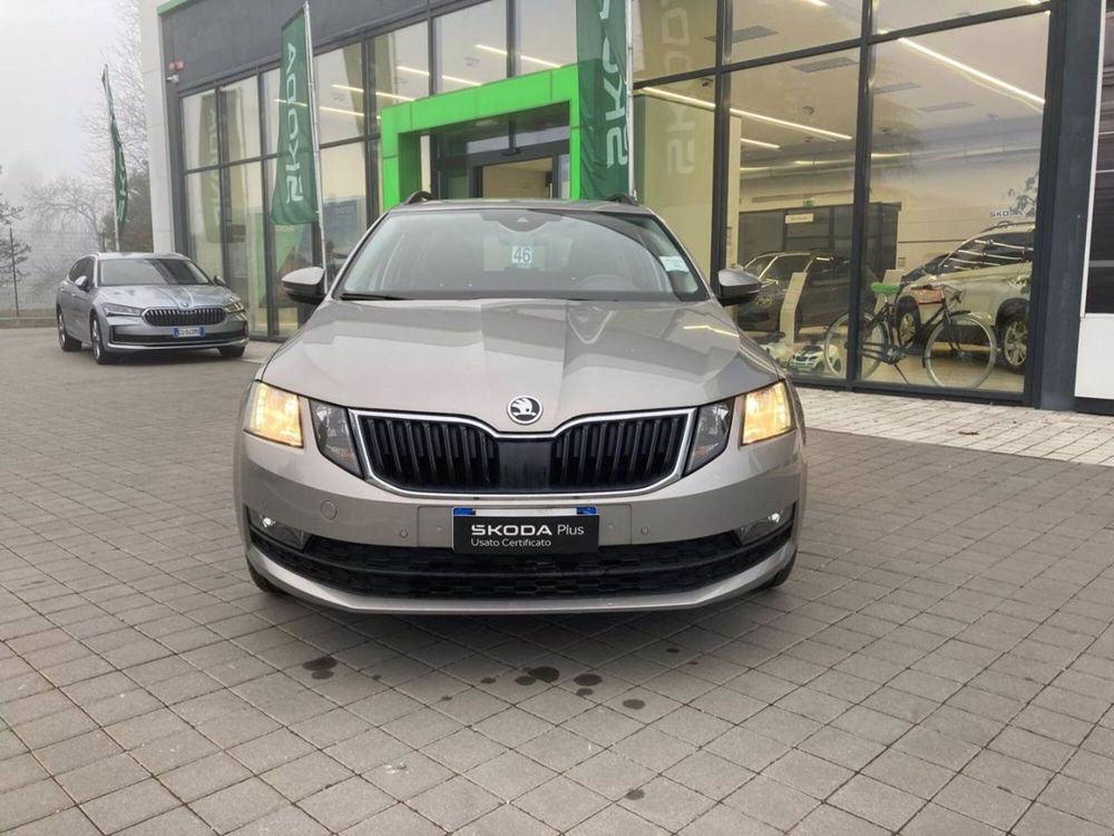 Skoda Octavia Station Wagon usata a Novara (2)