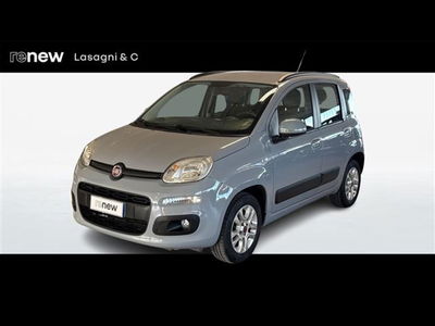 Fiat Panda 1.2 Lounge  del 2019 usata a Reggio nell&#039;Emilia