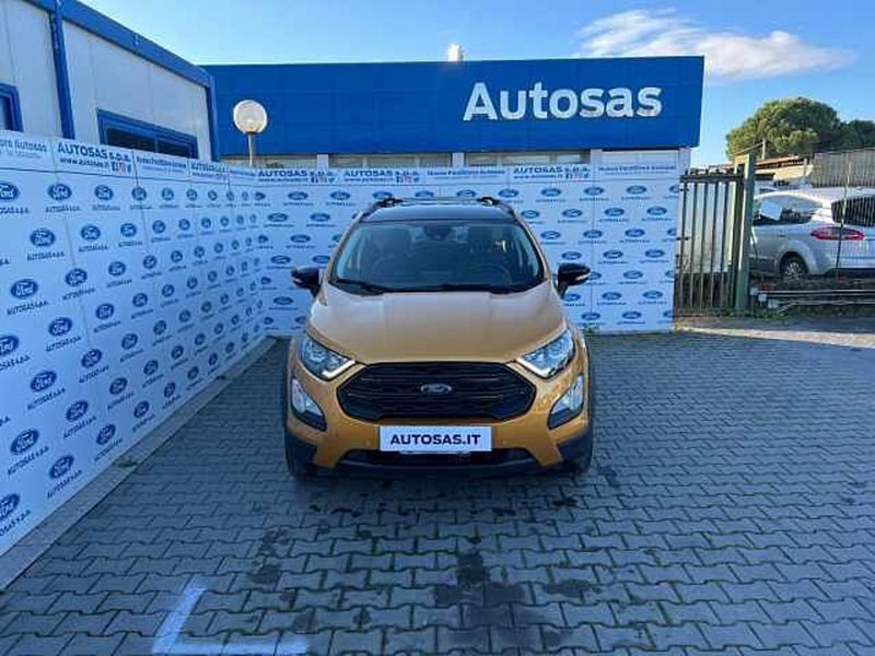 Ford EcoSport 1.0 EcoBoost 125 CV Start&amp;Stop Active del 2022 usata a Firenze