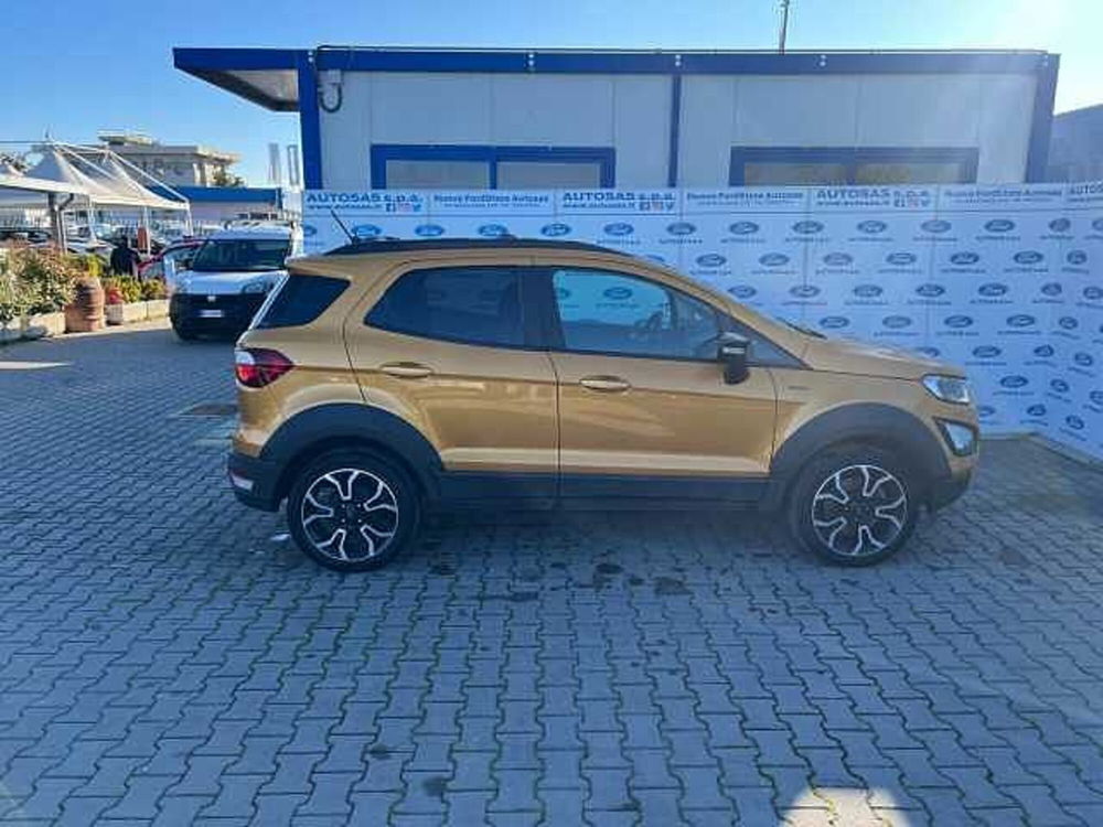 Ford EcoSport usata a Firenze (3)