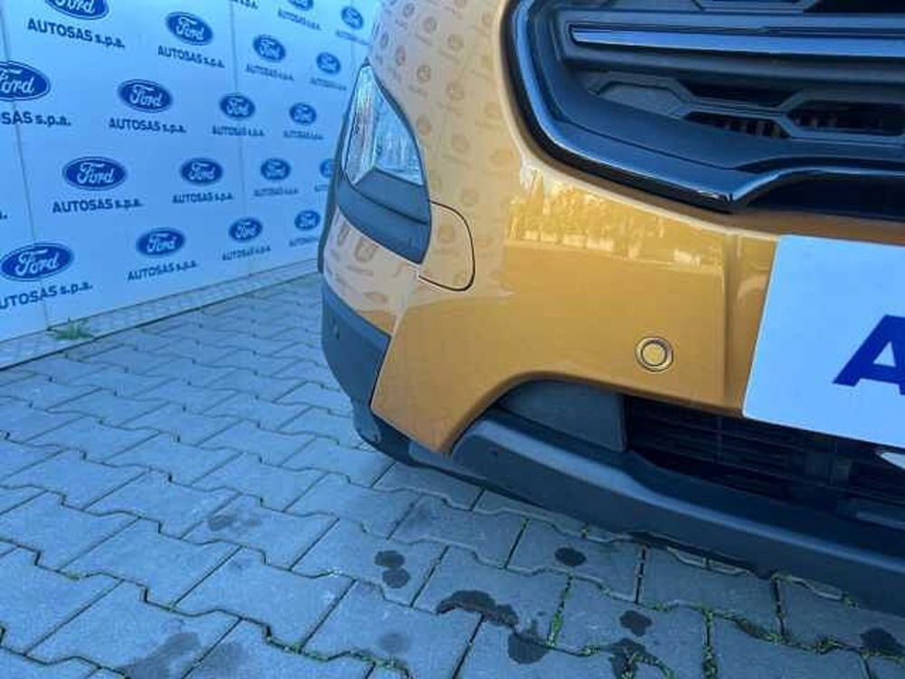 Ford EcoSport usata a Firenze (8)