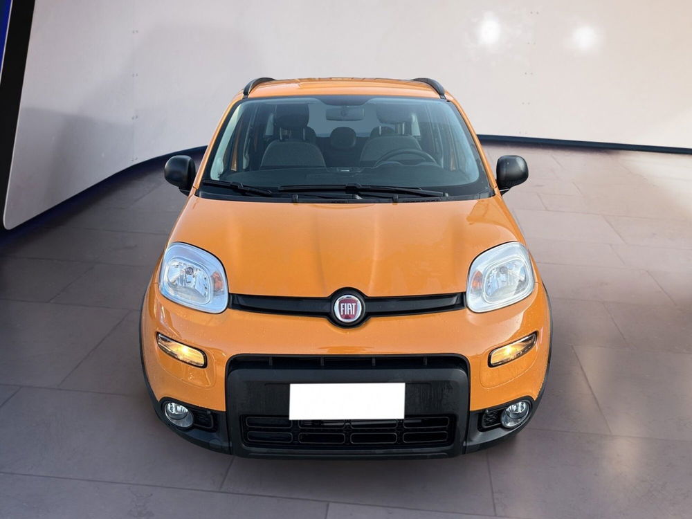 Fiat Panda Cross usata a Torino