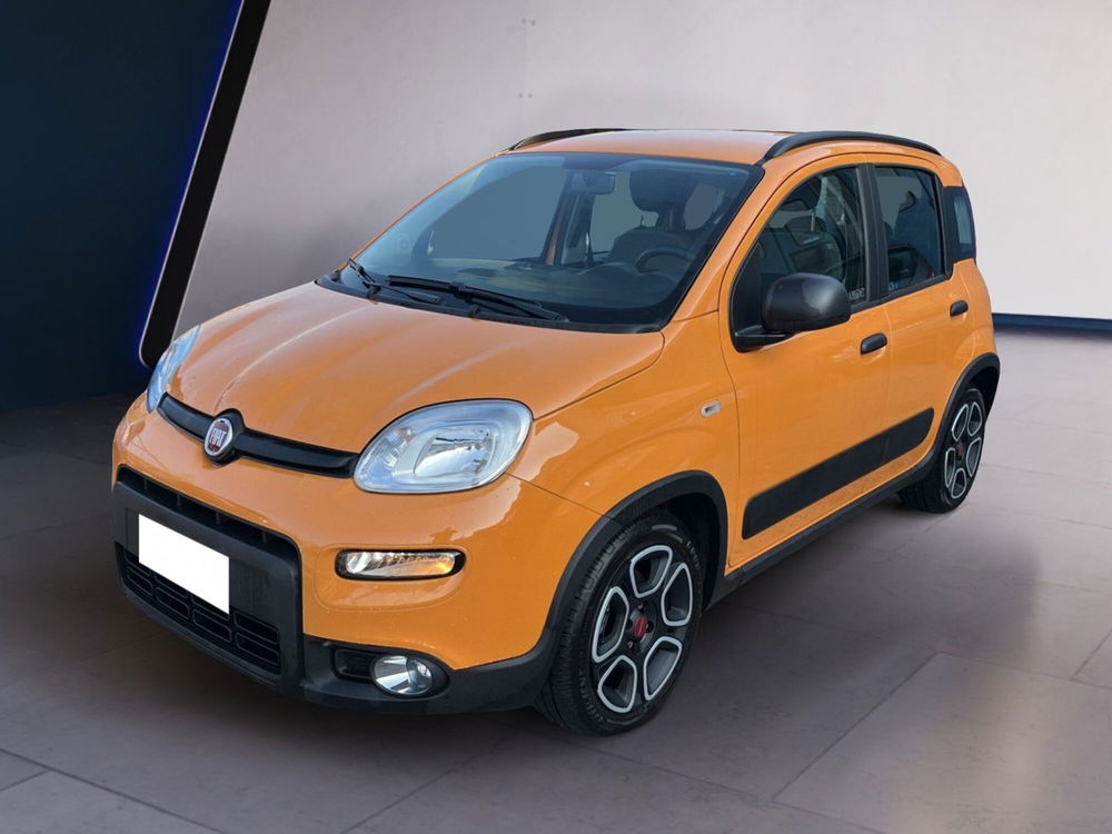 Fiat Panda Cross usata a Torino (2)