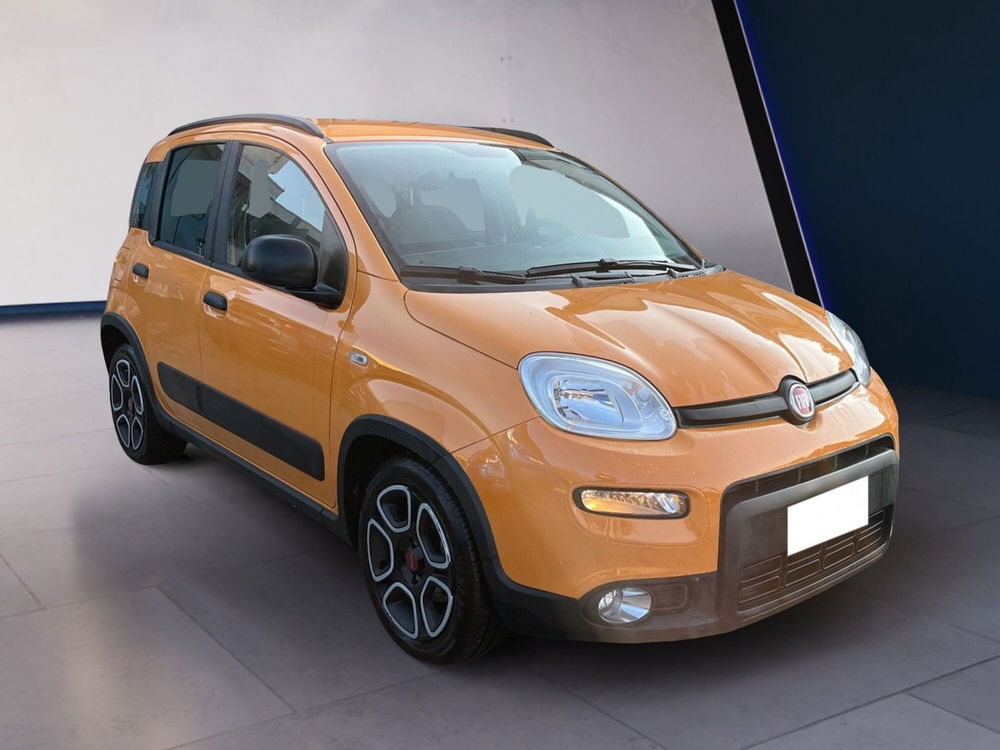 Fiat Panda Cross usata a Torino (3)