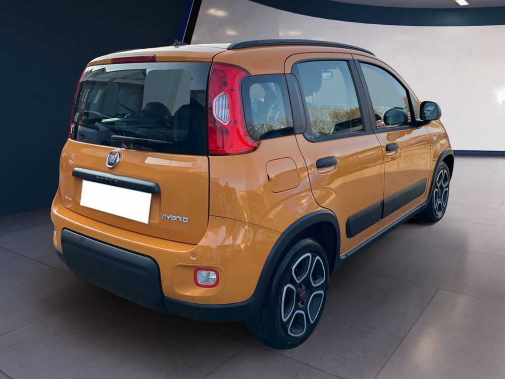 Fiat Panda Cross usata a Torino (4)