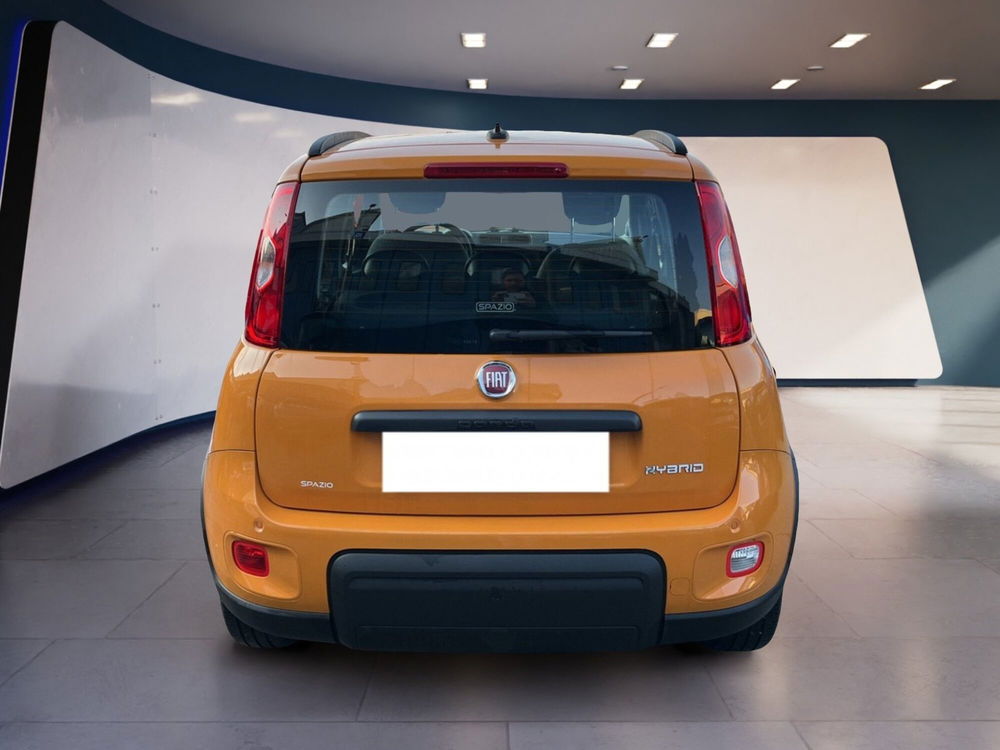 Fiat Panda Cross usata a Torino (5)