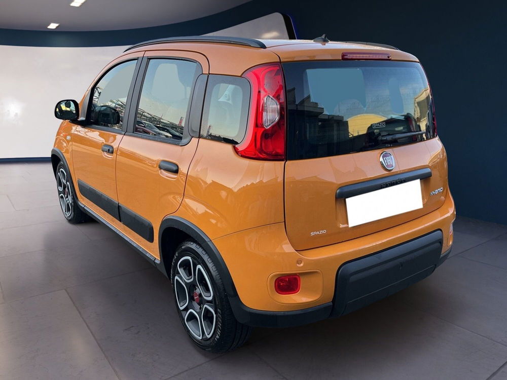 Fiat Panda Cross usata a Torino (6)