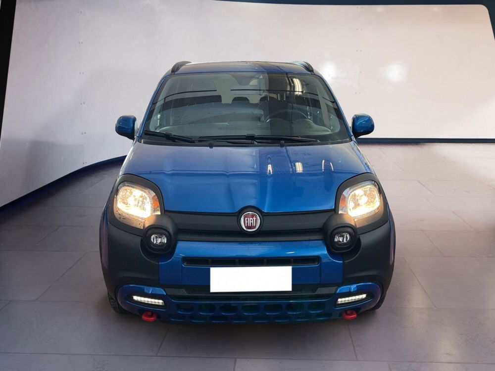 Fiat Panda Cross usata a Torino