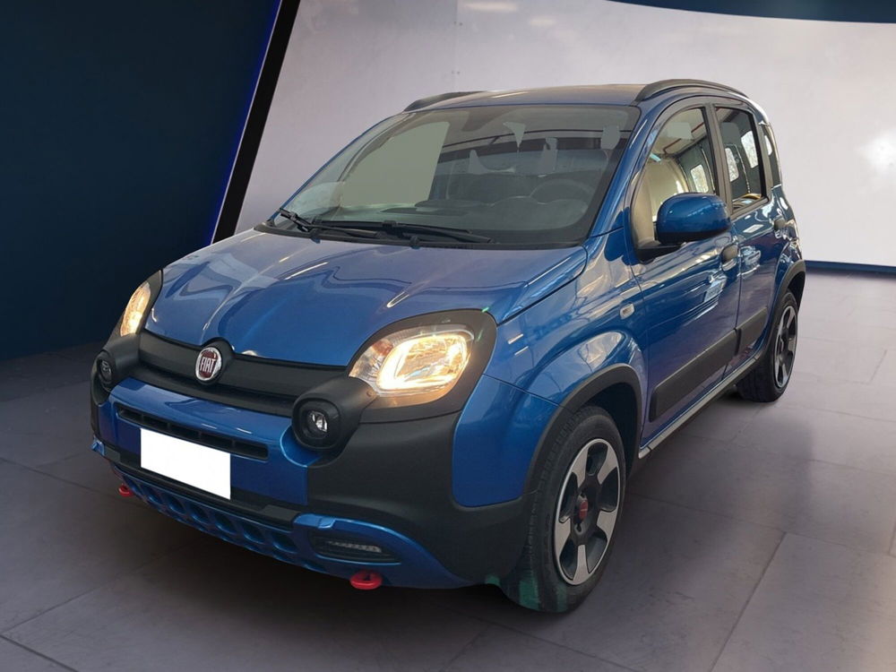 Fiat Panda Cross usata a Torino (2)