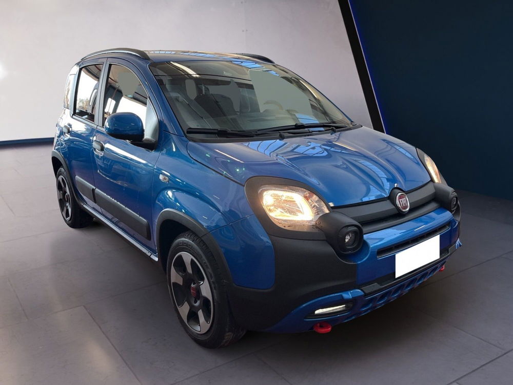 Fiat Panda Cross usata a Torino (3)