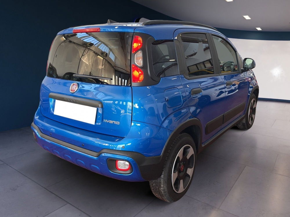 Fiat Panda Cross usata a Torino (4)