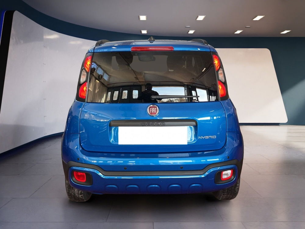 Fiat Panda Cross usata a Torino (5)