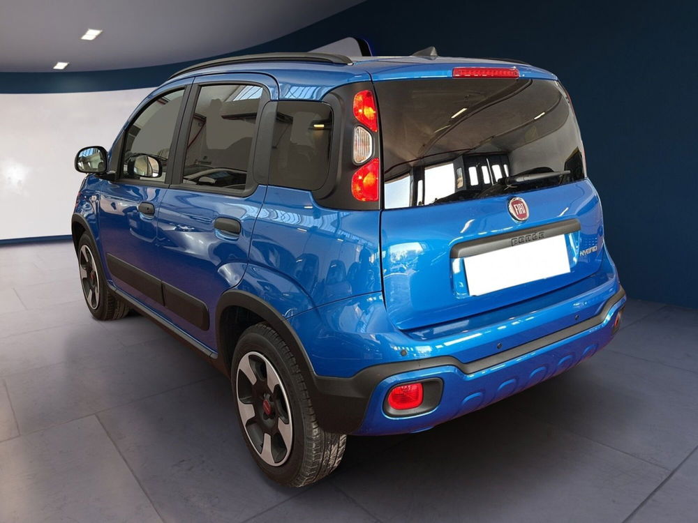 Fiat Panda Cross usata a Torino (6)