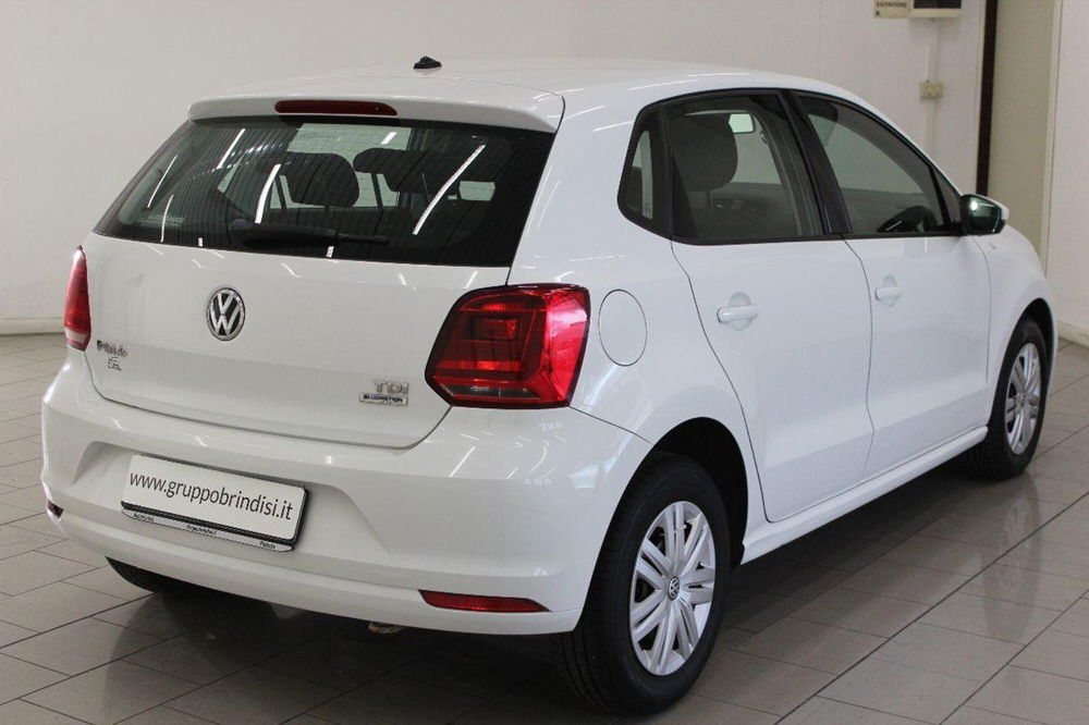 Volkswagen Polo usata a Potenza (4)