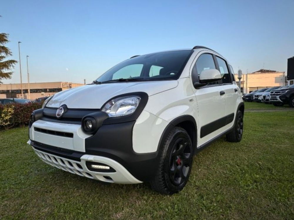 Fiat Panda Cross usata a Bologna