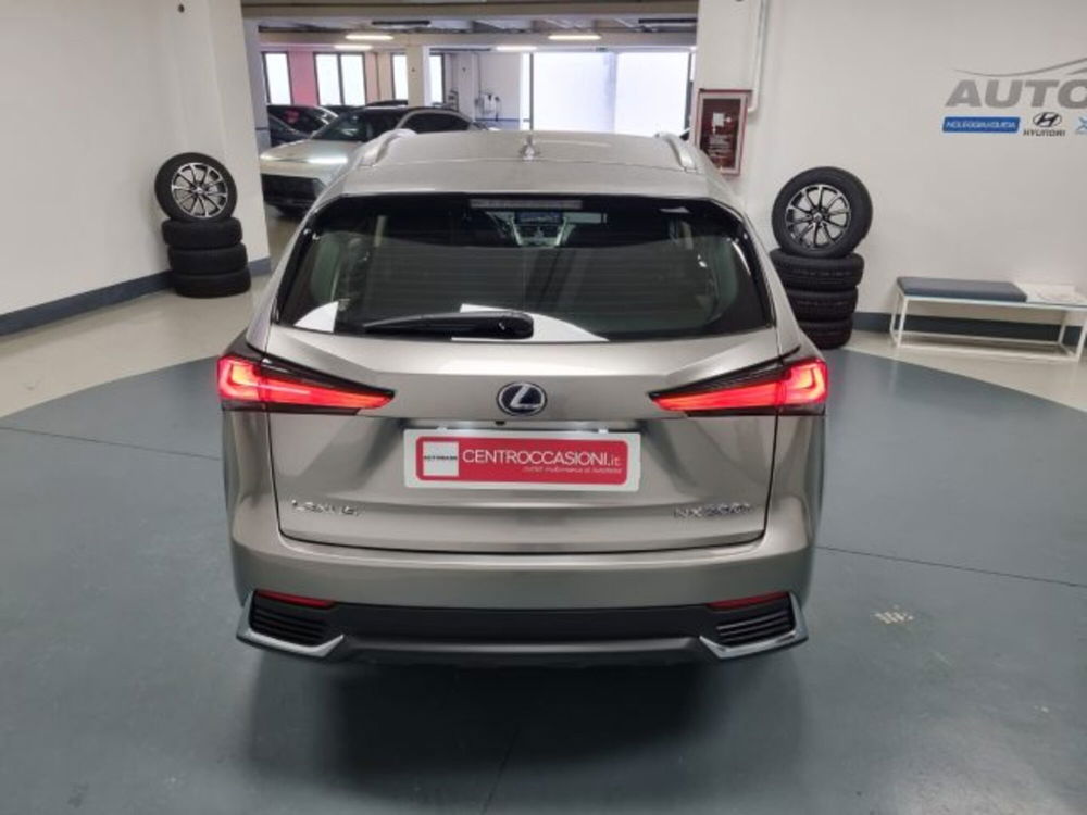 Lexus NX usata a Brescia (6)