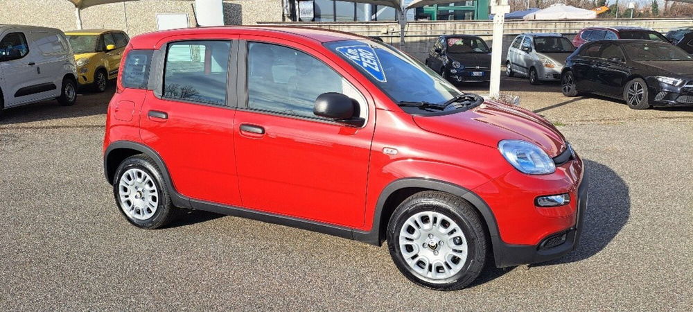 Fiat Panda nuova a Varese